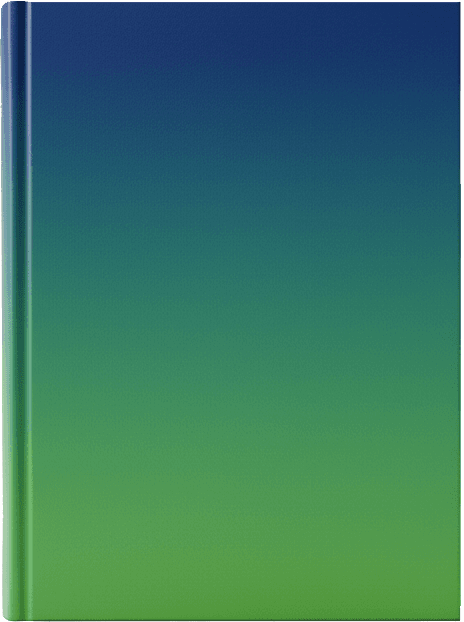 Obeibys Santana Novales book cover